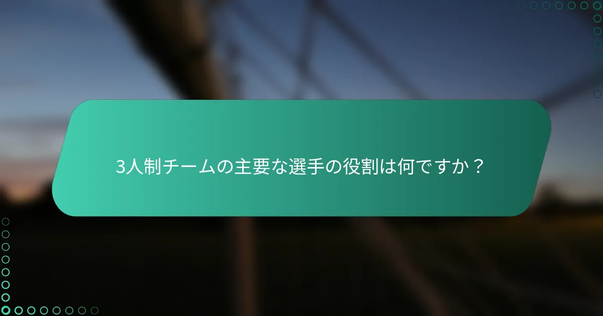 3人制チームの主要な選手の役割は何ですか？